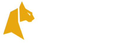 FelixSpin Casino